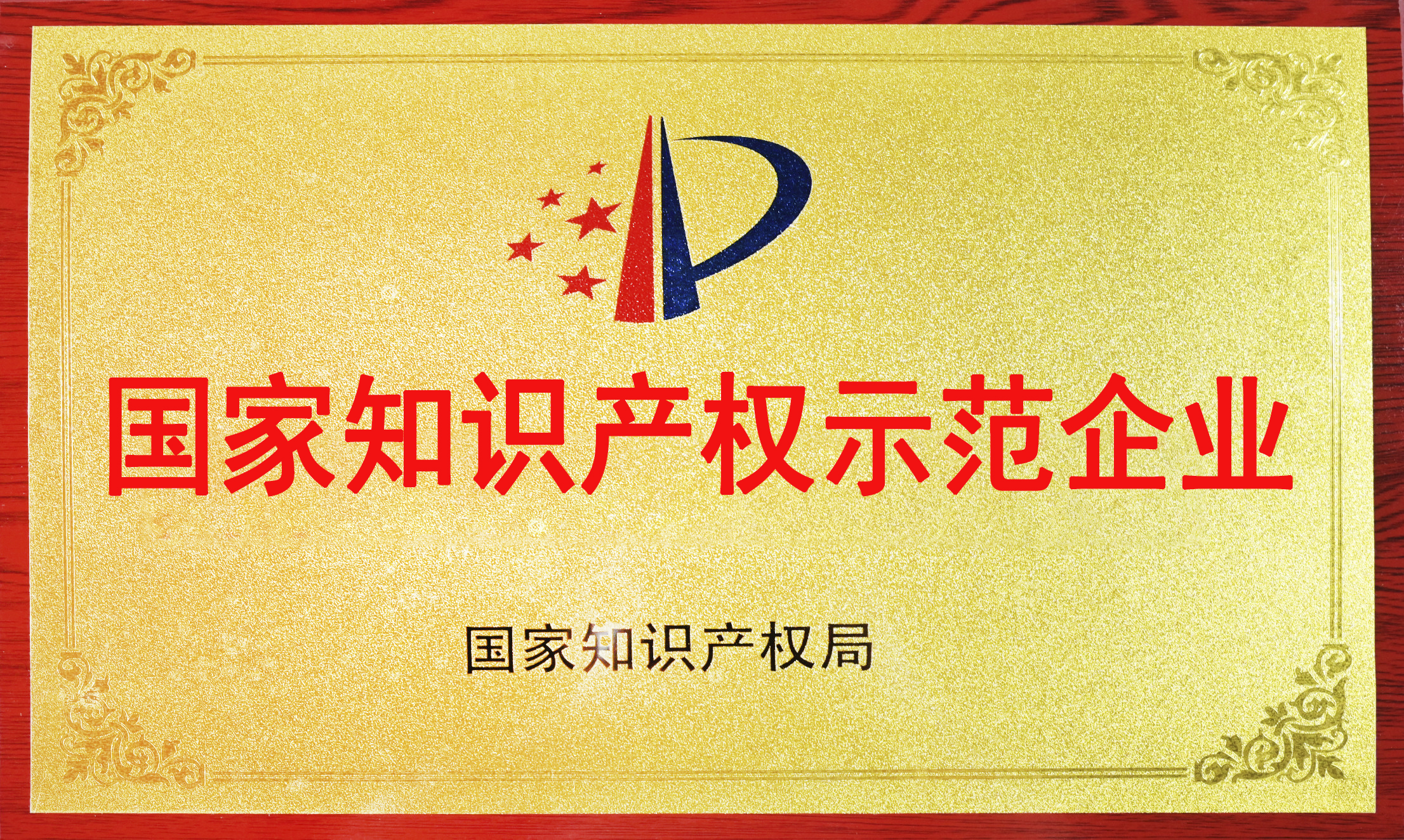 国家知识产权示范企业