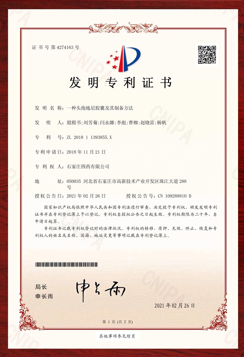 一种头孢地尼胶囊及其制备方法