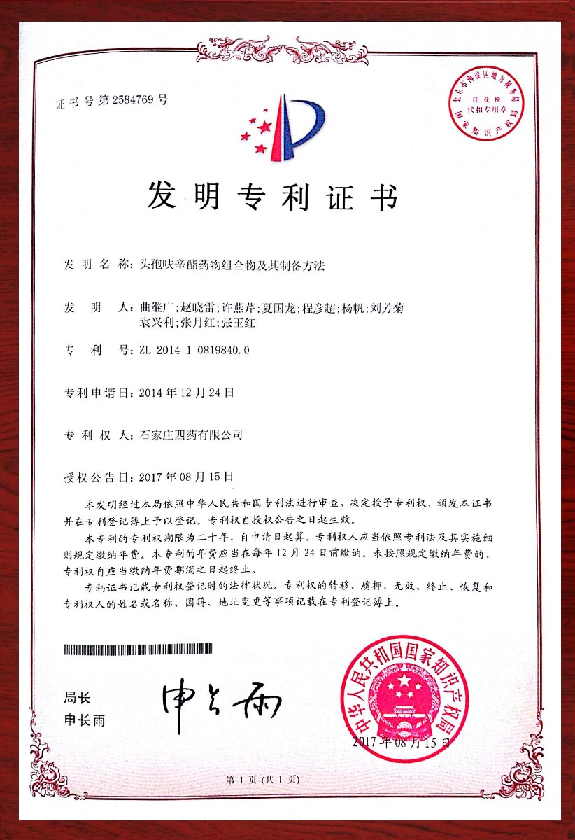 头孢呋辛酯药物组合物及其制备方法