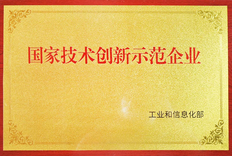 国家技术创新示范企业