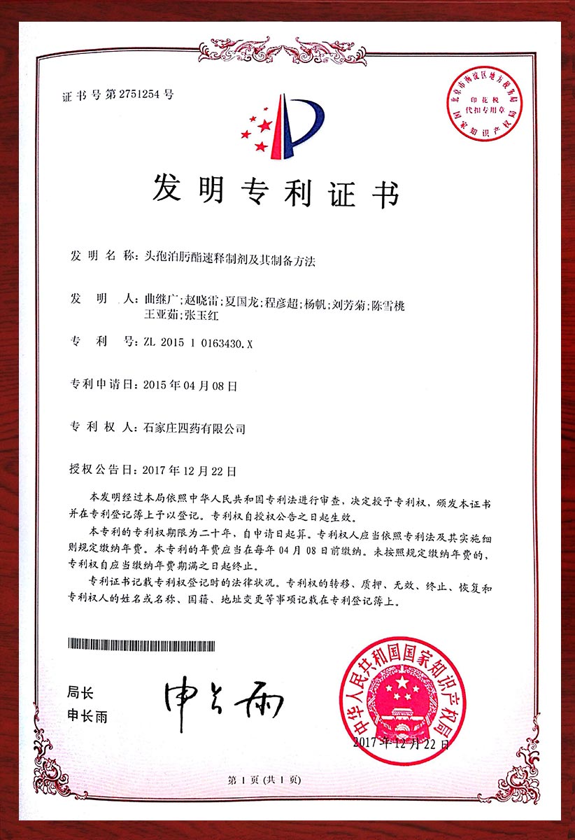 头孢泊肟酯速释制剂及其制备方法