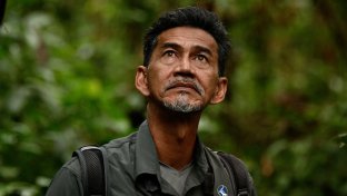 Hutan-worker-looks-up-at-jungle