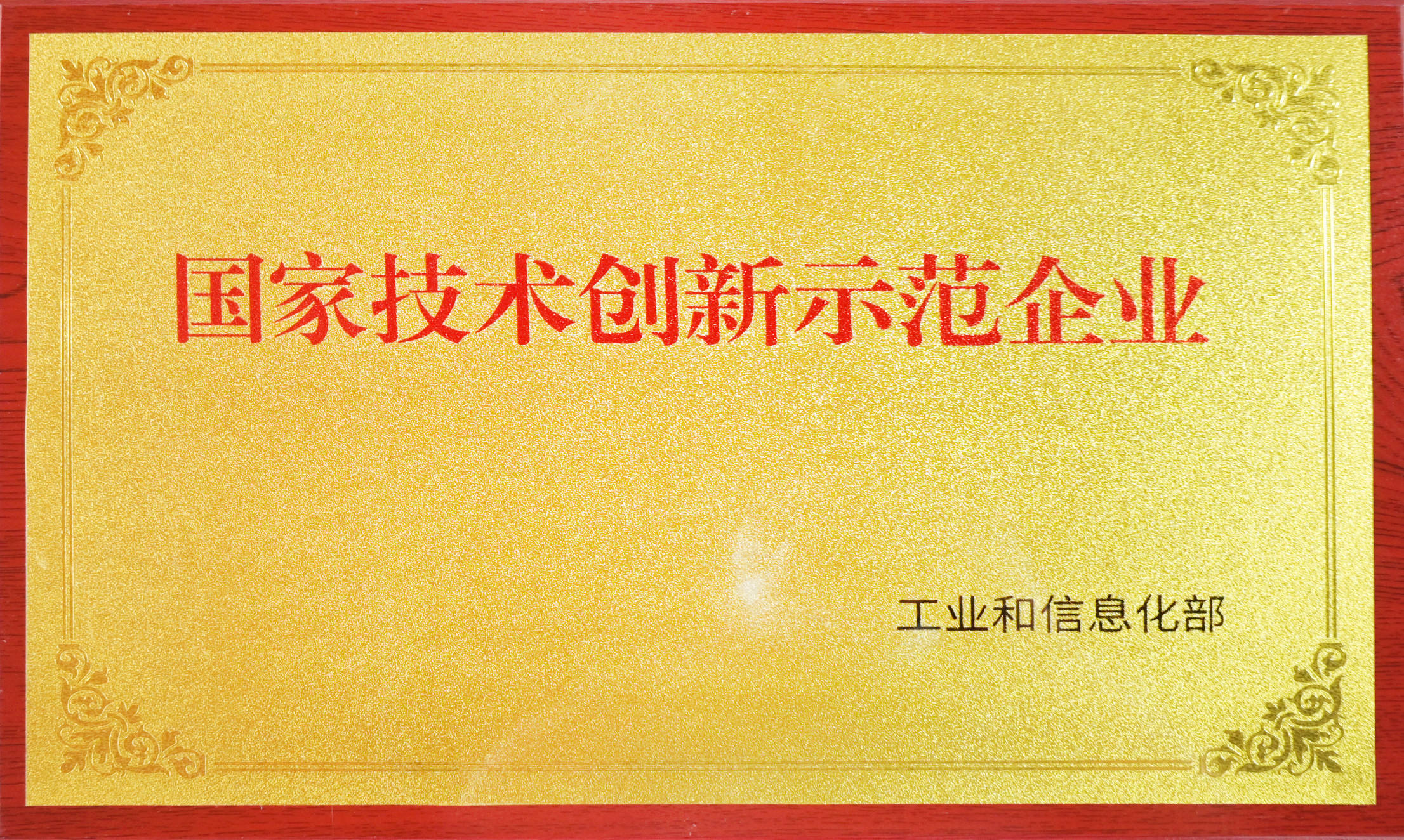 国家技术创新示范企业