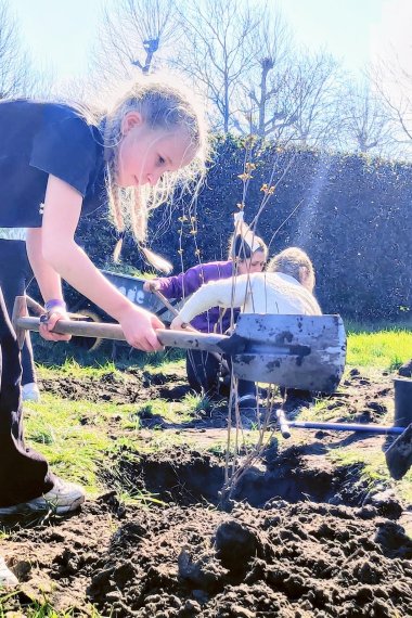 Girl planting tree