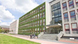 THE POWER OF MOSS: BIO-RECEPTIVE CONCRETE CAN HELP CITIES BREATHE AGAIN
