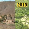 The Brazilian photographer and the 20-year reforestation project of over 2.7 million trees