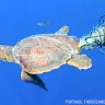 Drowning in plastic? 14 bits of plastic you can quit today!