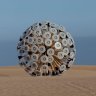 Mine Kafon Sweeps the Nation as it rids the Land of Mines