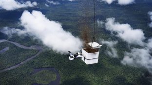 Skydiver scatters more than 100 million seeds over a deforested patch of the Amazon.