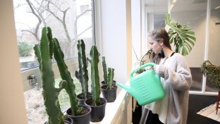 The Plant shelter takes care of abandoned plants and prepares them for a new home